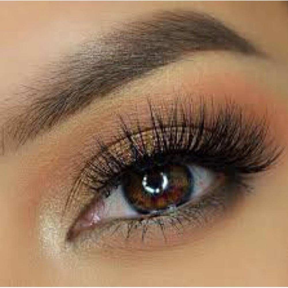 ⭐️ Host Pick⭐️ 🆕Velour Mink Lashes It’s Sho Fluffy